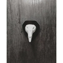 Ratte Rudis Schädel zum aufhängen