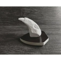 Ratte Rudis Schädel zum aufhängen