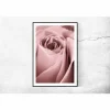 Rose in Altrosa, Botanisches Poster einer Blume in Nahaufnahme, Makrofotografie einer Blüte, Wandbild Größe 45 x 30 cm