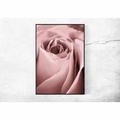 Rose in Altrosa, Botanisches Poster einer Blume in Nahaufnahme, Makrofotografie einer Blüte, Wandbild Größe 45 x 30 cm