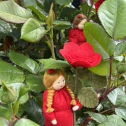 Rose rot -  Jahreszeitentisch - Blumenkind - Sommer