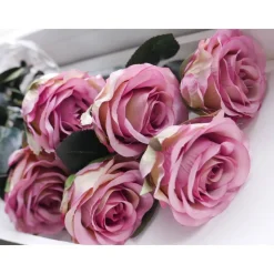 Rosen versch. Farben