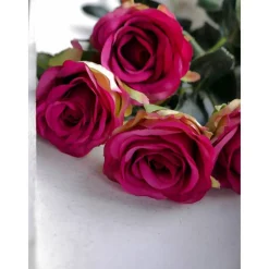 Rosen versch. Farben