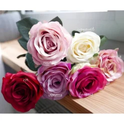 Rosen versch. Farben