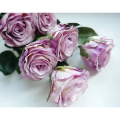 Rosen versch. Farben