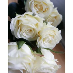 Rosen versch. Farben