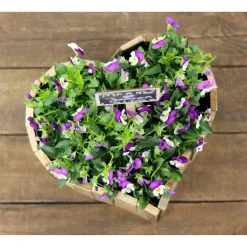 Rustikale BLUMENKISTE HERZ aus Obstkistenbrettern Hochzeit TISCHDEKO Valentin Individuelles Holz Geschenk Übertopf Pflanzschale Blumentopf