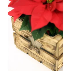 Rustikale Blumenkiste Weihnachtsgeschenk Vintage Holzkiste mit Stern Obstkiste für Blumen Geschenkkorb Blumentopf aus Holz Weihnachtsstern