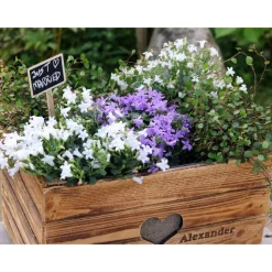 Rustikale GESCHENKEKISTE PERSONALISIERT HOCHBEET Hochzeit Vintage Holzkiste Hochzeitsgeschenk Hölzerner Jahrestag