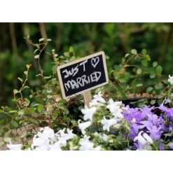 Rustikale GESCHENKEKISTE PERSONALISIERT HOCHBEET Hochzeit Vintage Holzkiste Hochzeitsgeschenk Hölzerner Jahrestag