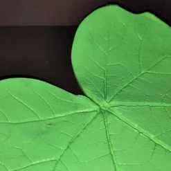 SALE -30% (Code: NEUEABENTEUER) | Blattschale aus lufttrocknendem Ton – neongrün, leuchtet unter UV-Licht