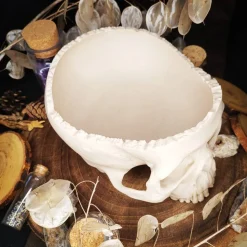 Schädel Schale Horror Anatomie Halloweendekoration Bonbonschale