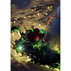 Schlitten Wichtel Advent Weihnachten Winter Holz rot Beeren