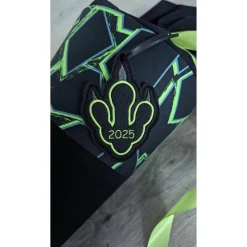 Schultüte T-Rex, Dinosaurier, Step by Step, Zuckertüte 70cm Stoff, Stickereien, Name inklusive