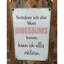 Seitdem ich Dingsbums kenne, kann ich alles erklären  – Lustige Wanddeko aus Altholz,und Blech MADE in Germany