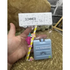 Sommer in der Tüte | mini Kühlakku | Mitbringsel | Gastgeschenk