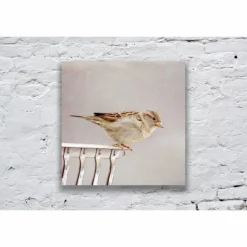 Spatz Kunstdruck, kleiner Vogel, Vogel-Liebhaber-Geschenk, Tier, Kinderzimmerdekor Wand Dekoration, 13x13 cm, 20x20 cm