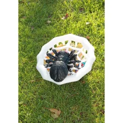 Spinnennetz-Schüssel mit Spinne