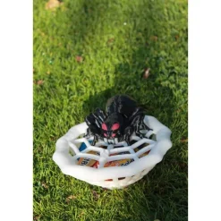 Spinnennetz-Schüssel mit Spinne