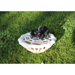 Spinnennetz-Schüssel mit Spinne