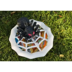 Spinnennetz-Schüssel mit Spinne