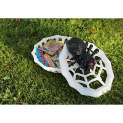 Spinnennetz-Schüssel mit Spinne