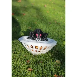 Spinnennetz-Schüssel mit Spinne