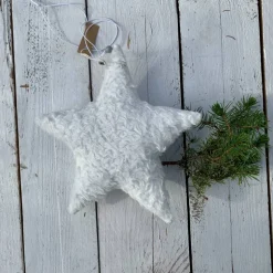 Stern - Winterzauber