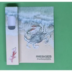 Strandmotiv Verpackung / Geldgeschenke / Krabben Geschenkverpackung / maritime Geschenkideen / Geschenkverpackung