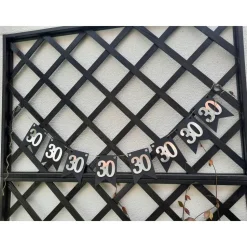 Super schöne Girlande zum 30. Geburtstag in Silber und Schwarz! Wimpelkette Dekoration Papierdeko