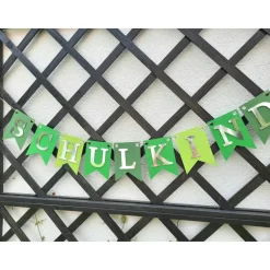 Supercoole Girlande zum Schulanfang auf Wunsch personalisiert Schulkind Dekoration in Grün und Silber