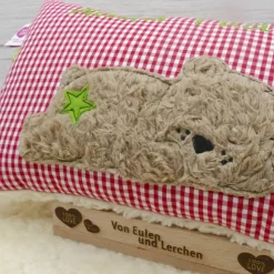 Teddykissen Bär Namenskissen Taufkissen Kuschelkissen Kindergartenkissen