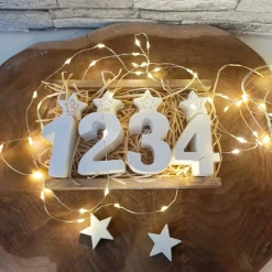 Tischdeko Advent, Raysin Zahlen-Set 1-4 mit Elch, Raysin Zahlen, Rentier Deko, Adventszahlen, Adventskranz modern