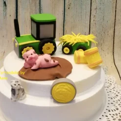 Tortenaufleger Fondant Geburtstag Tortendeko Bauernhof Hühner Schweine