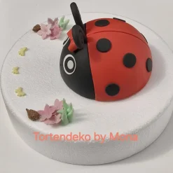 Tortenaufleger Fondant Geburtstag Tortendeko Marienkäfer Maikäfer
