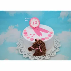 Tortenaufleger Fondant Geburtstag Tortendeko Pferde Set Horseclub