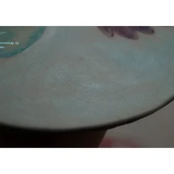 Tortenaufleger Fondant Tortenbild Tortendekoration  Fondantaufleger Elefant Dumbo Handgemalt Tortendeko Motivorte Fondantfigur Marienkäfer