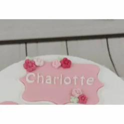 Tortendeko Tortentopper Tortenaufleger Fondant Zuckerfigur Namesschilder Torte