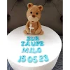 Tortendekoration Teddy, Taufe, Fondant Figuren Taufe