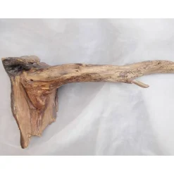 Treibholz  Arangement aus einem Treibholz Strandgut Deko