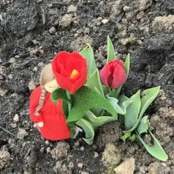 Tulpe - Jahreszeitentisch  - Blumenkinder - Frühling