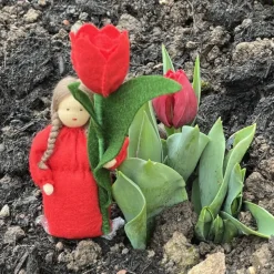 Tulpe - Jahreszeitentisch  - Blumenkinder - Frühling