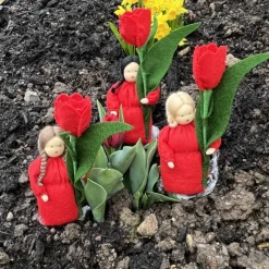 Tulpe - Jahreszeitentisch  - Blumenkinder - Frühling