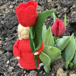 Tulpe - Jahreszeitentisch  - Blumenkinder - Frühling