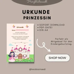 Urkunde Prinzessin | Prinzessinnenparty | Prinzessin Urkunden A4 | Urkunden ausdrucken | Kindergeburtstag | Mitgebsel Ki