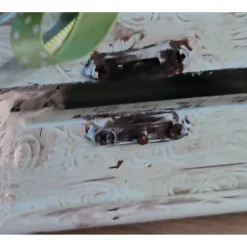 Valentinstag-romantische Schatulle aus Holz im Vintagestyle