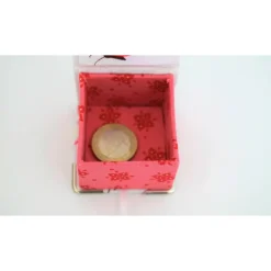 Verpackung Geldgeschenk 