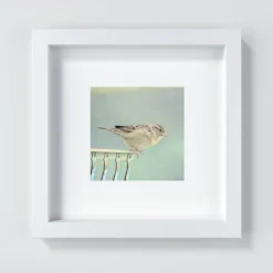 Vogel Print, herziges Geschenk für das 