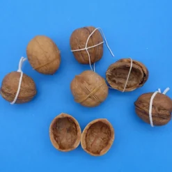 Walnussschale Paar passende Hälften braune Walnuss Schalen  - Naturprodukt zum Dekorieren + Basteln + Floristik