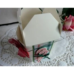 Weihnachtliche Box, Takeoutbox, Verpackung für Plätzchen